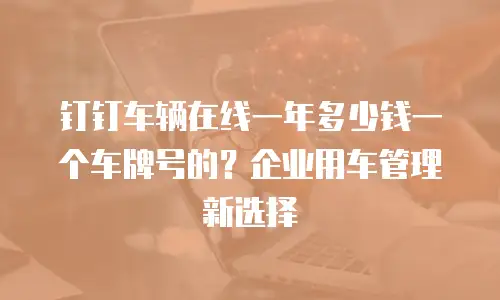 钉钉车辆在线一年多少钱一个车牌号的？企业用车管理新选择