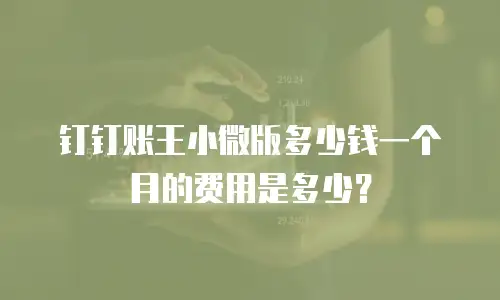 钉钉账王小微版多少钱一个月的费用是多少？