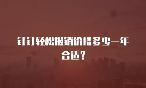 钉钉轻松报销价格多少一年合适？