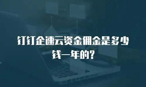 钉钉企速云资金佣金是多少钱一年的？