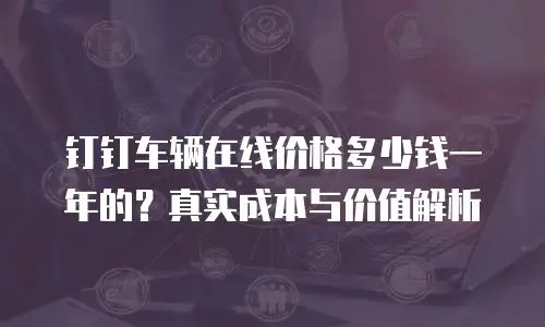 钉钉车辆在线价格多少钱一年的？真实成本与价值解析
