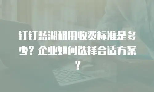 钉钉蓝湖租用收费标准是多少？企业如何选择合适方案？