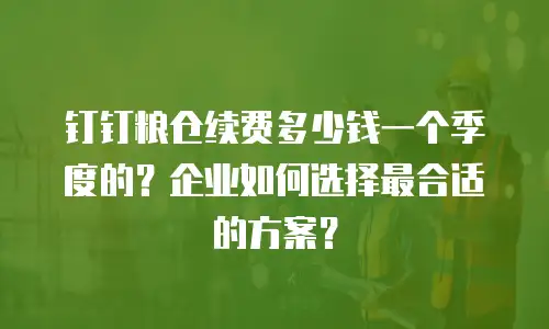 钉钉粮仓续费多少钱一个季度的？企业如何选择最合适的方案？