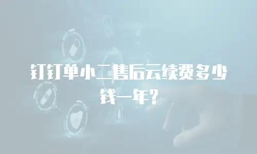 钉钉单小二售后云续费多少钱一年？