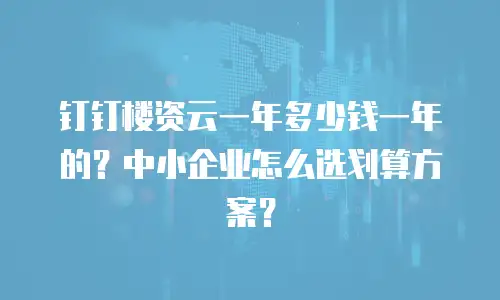 钉钉楼资云一年多少钱一年的？中小企业怎么选划算方案？