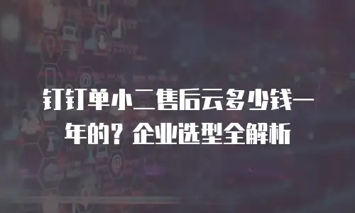 钉钉单小二售后云多少钱一年的？企业选型全解析