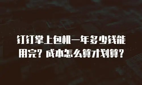 钉钉掌上包机一年多少钱能用完？成本怎么算才划算？