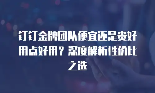 钉钉金牌团队便宜还是贵好用点好用？深度解析性价比之选