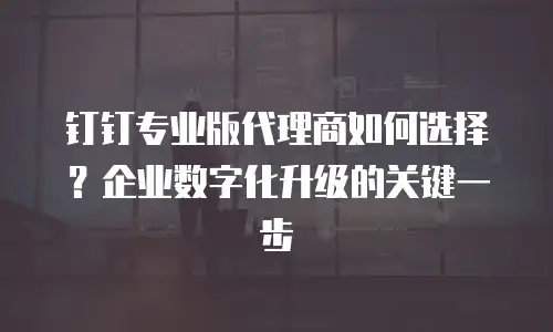 钉钉专业版代理商如何选择？企业数字化升级的关键一步