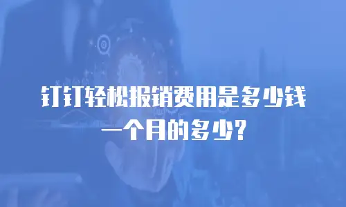 钉钉轻松报销费用是多少钱一个月的多少？
