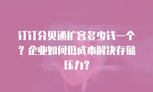 钉钉分贝通扩容多少钱一个？企业如何低成本解决存储压力？