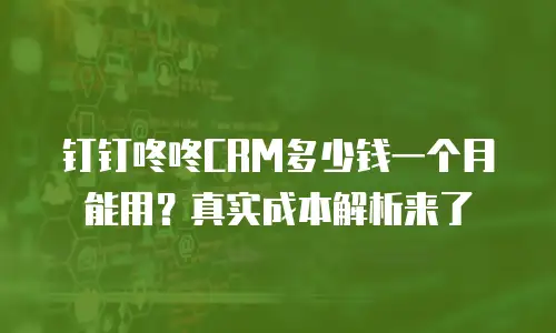 钉钉咚咚CRM多少钱一个月能用？真实成本解析来了