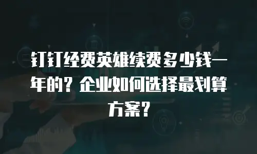 钉钉经费英雄续费多少钱一年的？企业如何选择最划算方案？