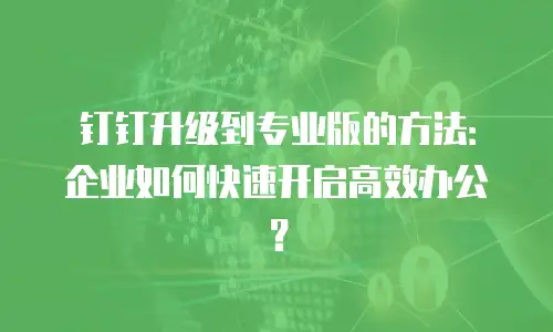 钉钉升级到专业版的方法：企业如何快速开启高效办公？