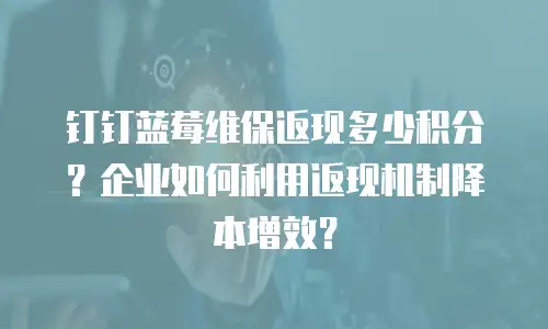 钉钉蓝莓维保返现多少积分？企业如何利用返现机制降本增效？
