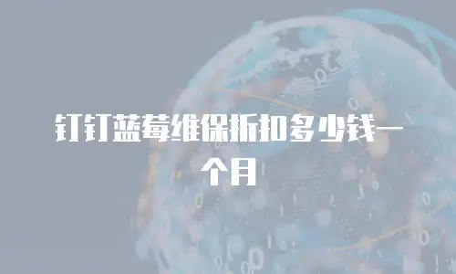 钉钉蓝莓维保折扣多少钱一个月