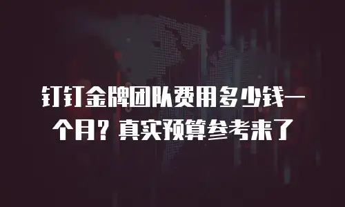 钉钉金牌团队费用多少钱一个月？真实预算参考来了
