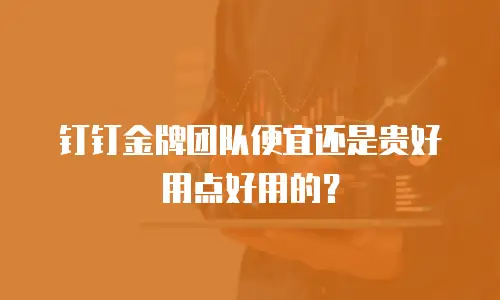 钉钉金牌团队便宜还是贵好用点好用的？