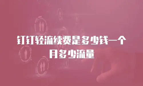钉钉轻流续费是多少钱一个月多少流量
