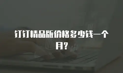 钉钉精品版价格多少钱一个月？
