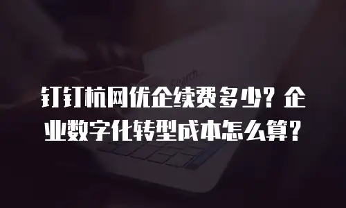 钉钉杭网优企续费多少？企业数字化转型成本怎么算？