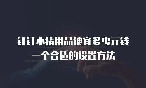 钉钉小猪用品便宜多少元钱一个合适的设置方法