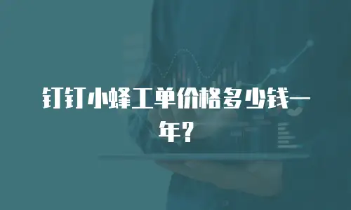 钉钉小蜂工单价格多少钱一年？