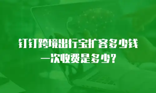 钉钉跨境出行宝扩容多少钱一次收费是多少？