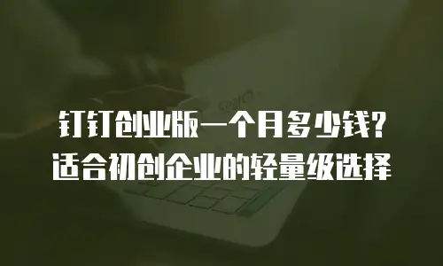 钉钉创业版一个月多少钱？适合初创企业的轻量级选择