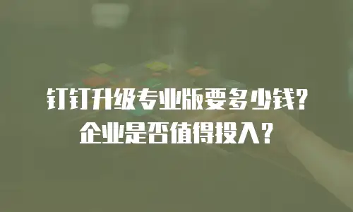 钉钉升级专业版要多少钱？企业是否值得投入？
