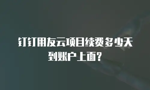 钉钉用友云项目续费多少天到账户上面？