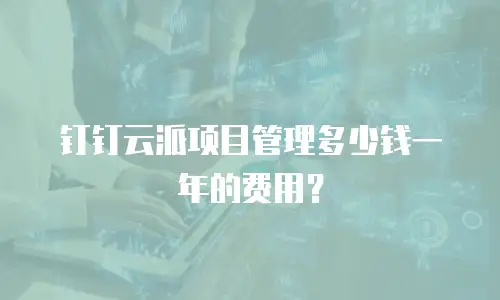 钉钉云派项目管理多少钱一年的费用？