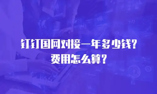 钉钉国网对接一年多少钱？费用怎么算？