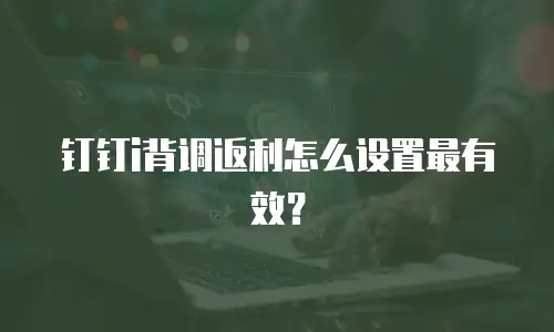 钉钉i背调返利怎么设置最有效？