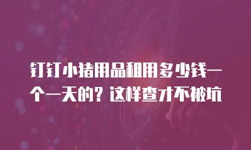 钉钉小猪用品租用多少钱一个一天的？这样查才不被坑