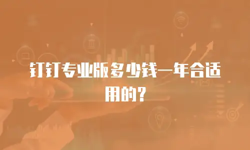钉钉专业版多少钱一年合适用的？