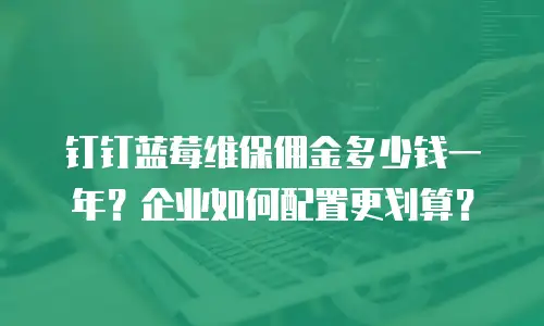 钉钉蓝莓维保佣金多少钱一年？企业如何配置更划算？