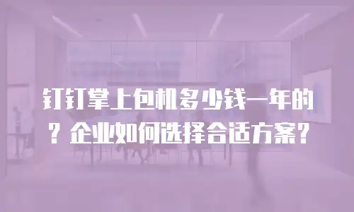 钉钉掌上包机多少钱一年的？企业如何选择合适方案？
