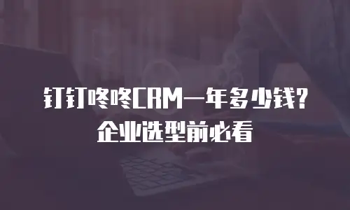 钉钉咚咚CRM一年多少钱？企业选型前必看