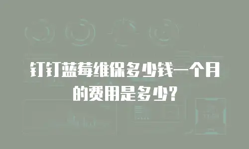 钉钉蓝莓维保多少钱一个月的费用是多少？