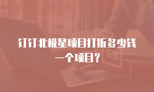 钉钉北极星项目打折多少钱一个项目？