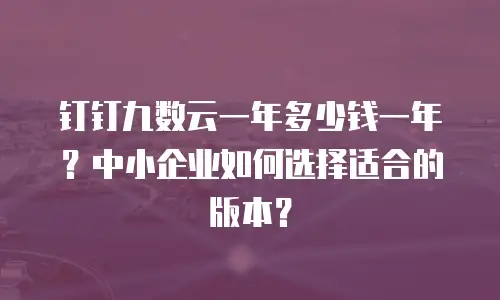 钉钉九数云一年多少钱一年？中小企业如何选择适合的版本？