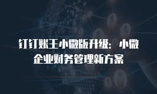 钉钉账王小微版升级：小微企业财务管理新方案