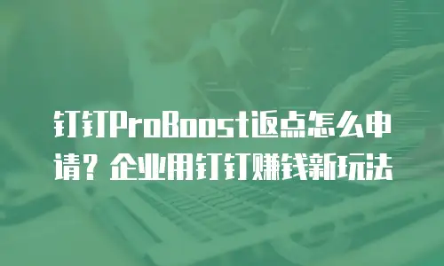 钉钉ProBoost返点怎么申请？企业用钉钉赚钱新玩法