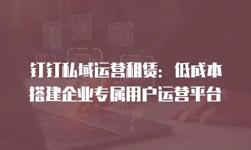 钉钉私域运营租赁：低成本搭建企业专属用户运营平台