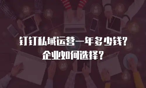 钉钉私域运营一年多少钱？企业如何选择？