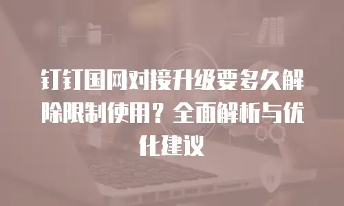 钉钉国网对接升级要多久解除限制使用？全面解析与优化建议