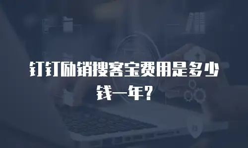 钉钉励销搜客宝费用是多少钱一年？