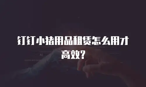 钉钉小猪用品租赁怎么用才高效？