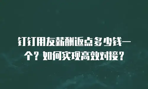 钉钉用友薪酬返点多少钱一个？如何实现高效对接？